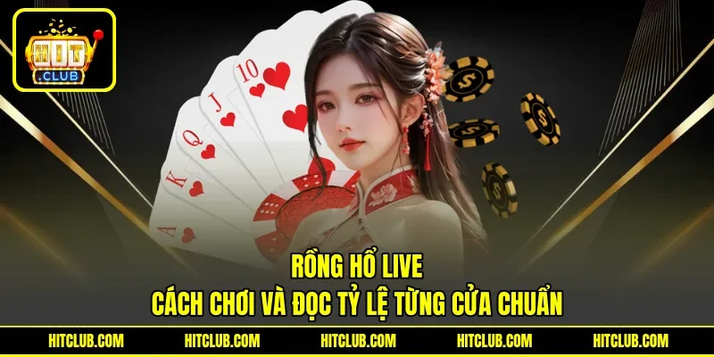 Rồng Hổ Live - Cách Chơi Và Đọc Tỷ Lệ Từng Cửa Chuẩn