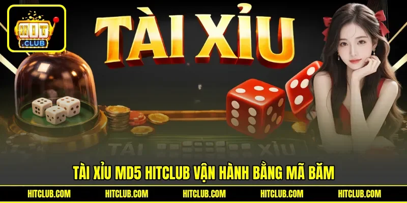 Tài xỉu md5 HITCLUB vận hành bằng mã băm Tài xỉu md5 HITCLUB vận hành bằng mã băm